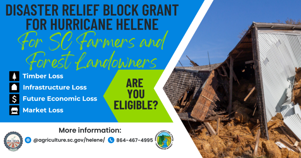 Hurricane Helene Disaster Relief Block Grant – Greenville County Soil ...