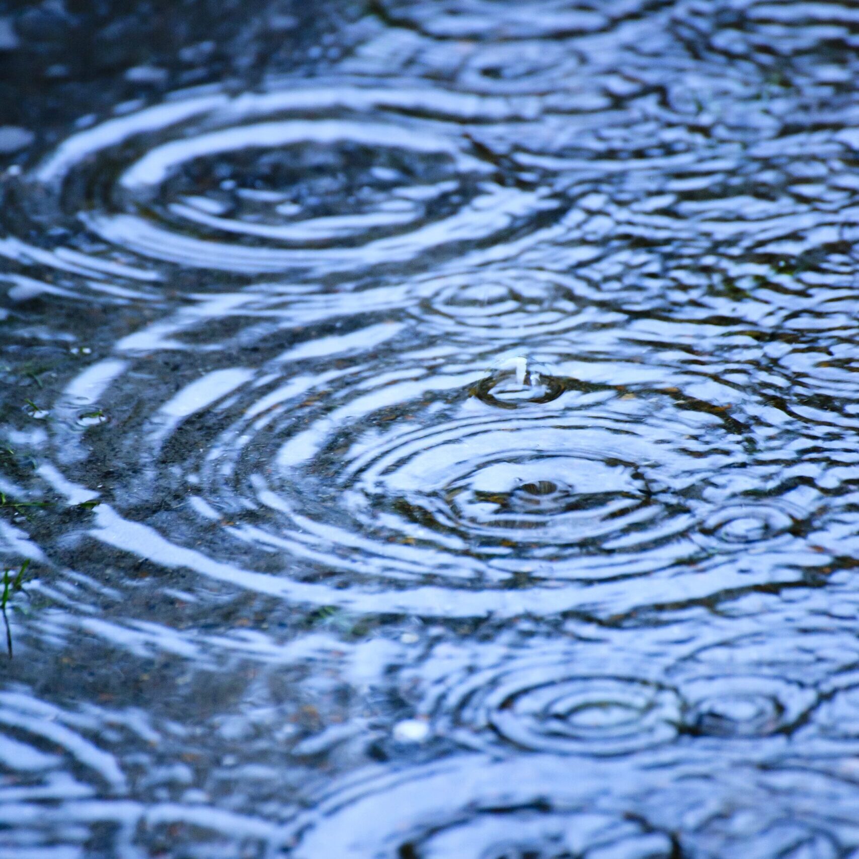 Torrential summer rain